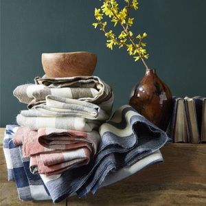 Steven Alan West Elm Blue Striped Alpaca Throw